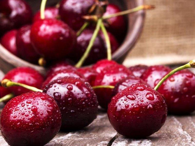 Вишня купить саженцы из питомника в Йошкар-Оле